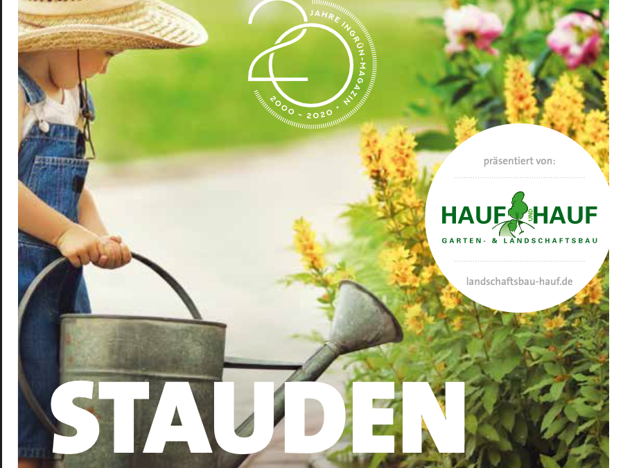 Ingrün 01/2020